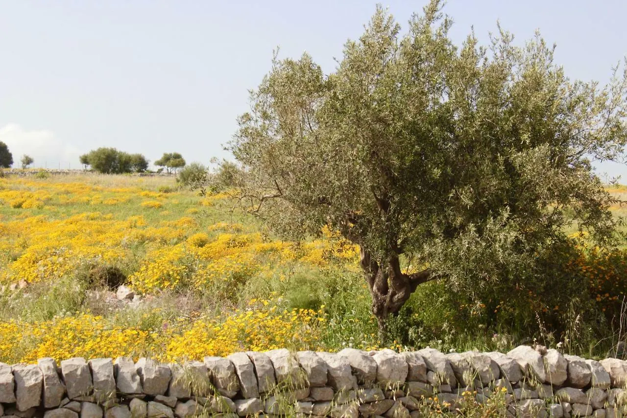 بيت للعطل فيلا Casa Helenia Bruca Cava dʼAliga إيطاليا